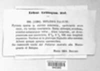Image Associated With the Occurence